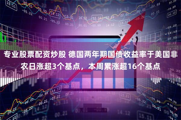 专业股票配资炒股 德国两年期国债收益率于美国非农日涨超3个基点，本周累涨超16个基点